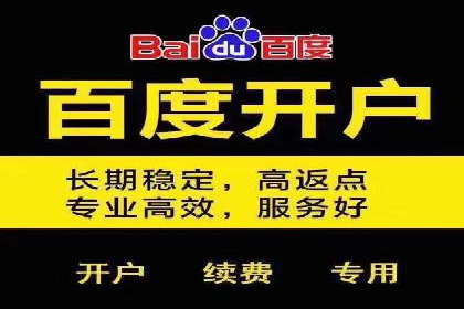 百度推广返点攻略：成功案例分享与启示